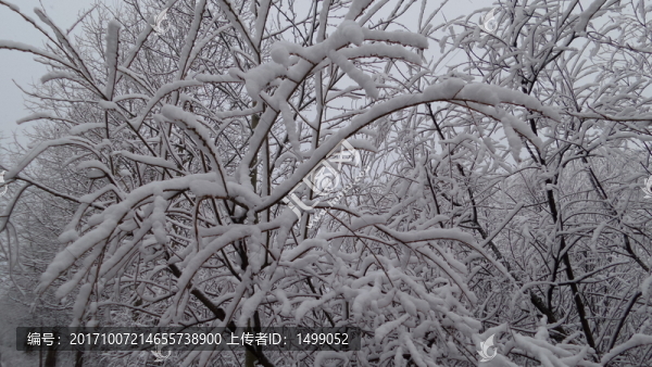 大興安嶺冰雪世界