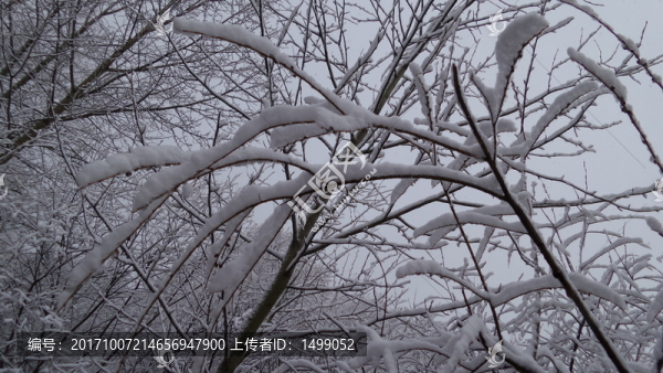 大興安嶺冰雪世界