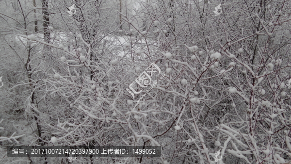 大興安嶺冰雪世界
