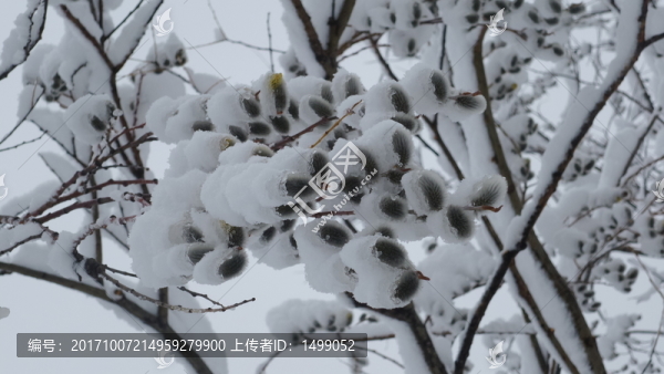 大興安嶺冰雪世界