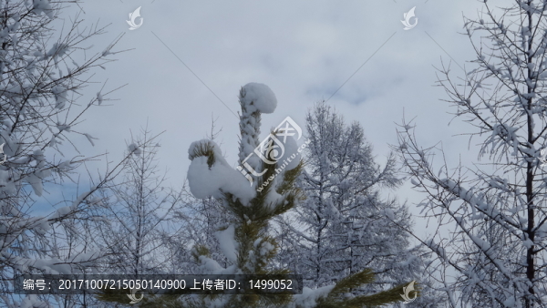 大興安嶺冰雪世界