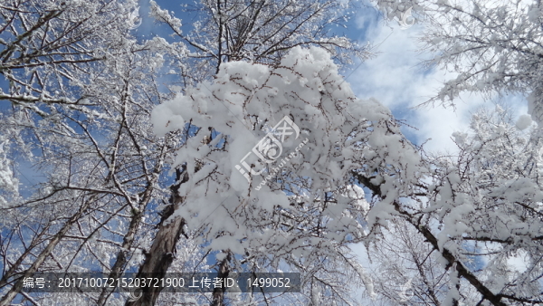 大興安嶺冰雪世界