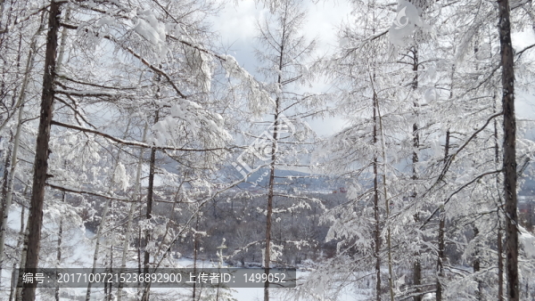 大興安嶺冰雪世界