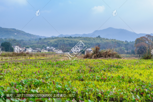 塔川秋色