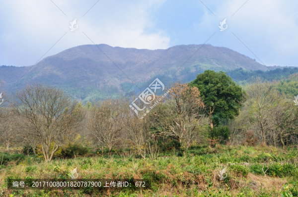 塔川秋色