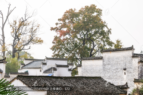塔川秋色