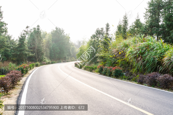 塔川公路秋色