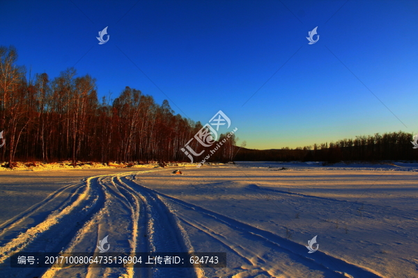 229雪野01