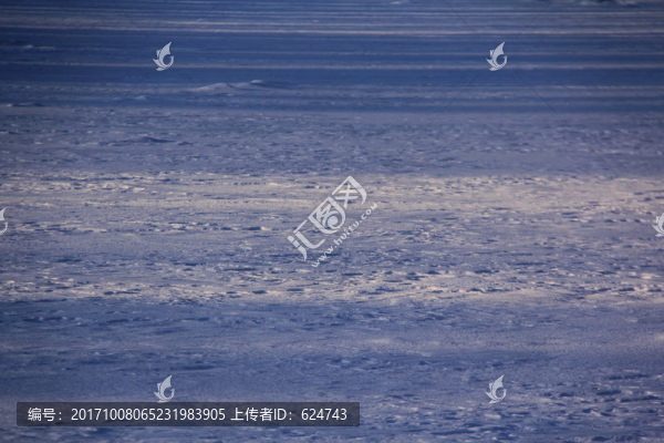 237雪野09