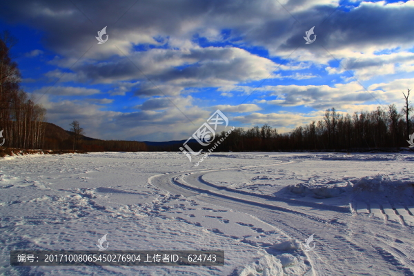 241雪野13