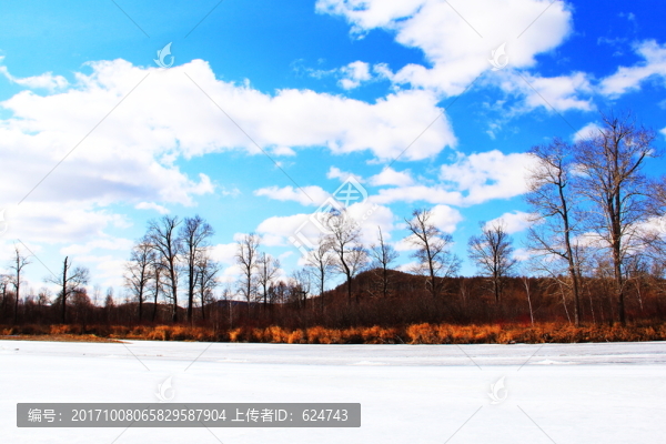 243雪野15