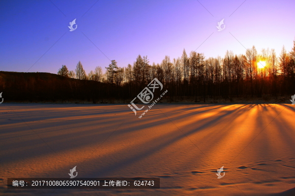 244雪野16