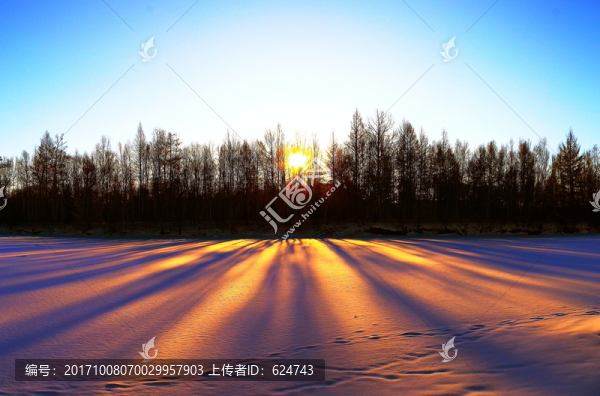 246雪野18