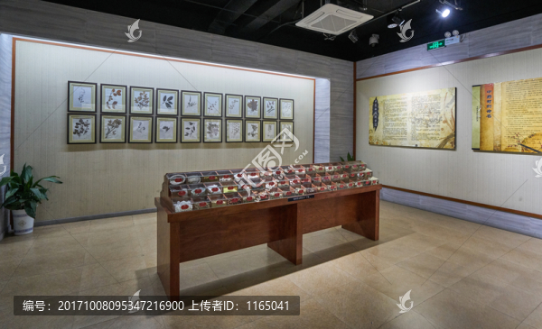 中藥展覽館,中藥展廳,高清大圖