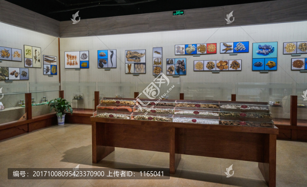 中藥展覽館,中藥展廳,高清大圖