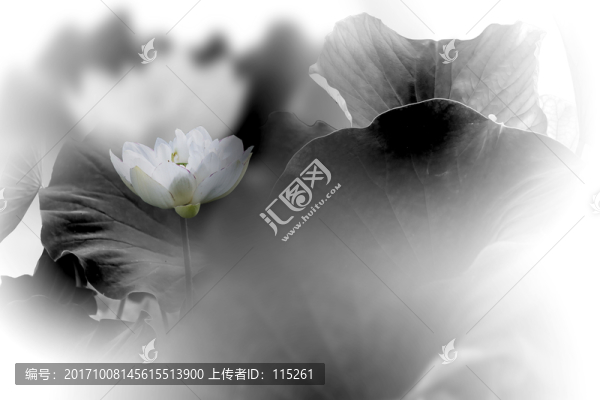 荷花中國畫