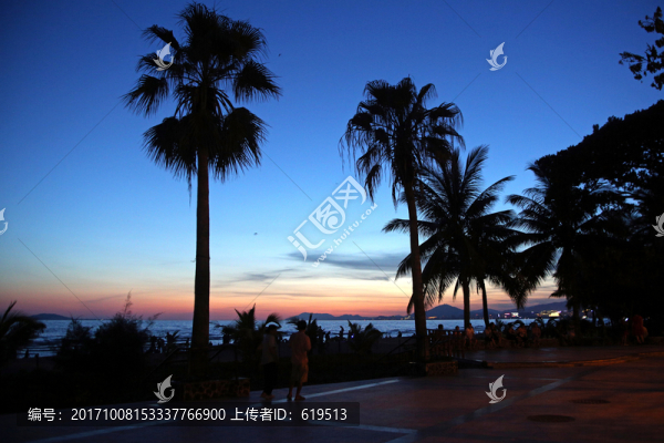 椰林,椰風(fēng),海南三亞灣