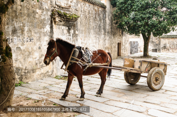 鄉(xiāng)村驢車