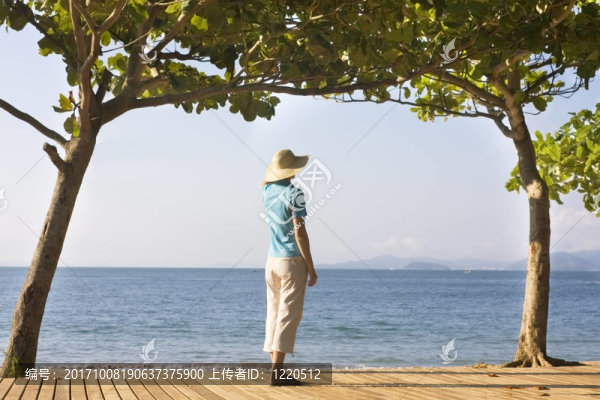 海灘上樹間的女人