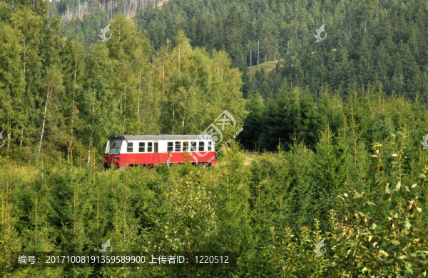 schienenbus