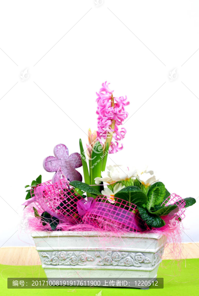 春天的花盆