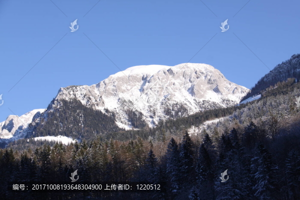 山