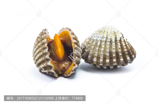 血蚶