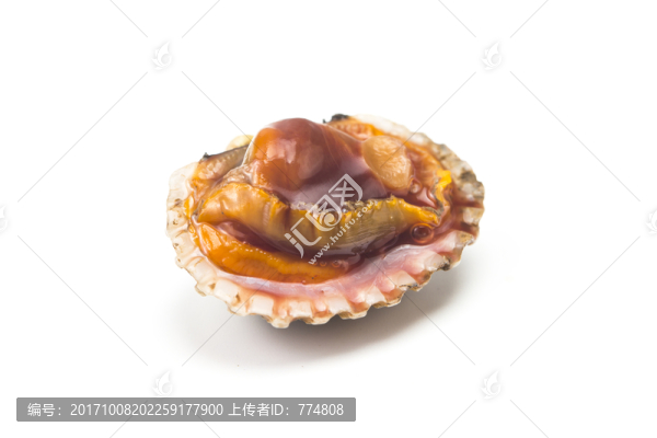 血蚶