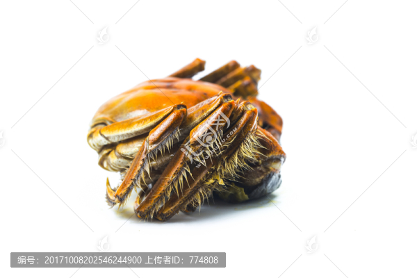大閘蟹