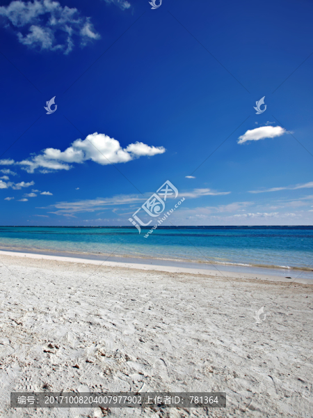 海灘風(fēng)景,美麗海濱
