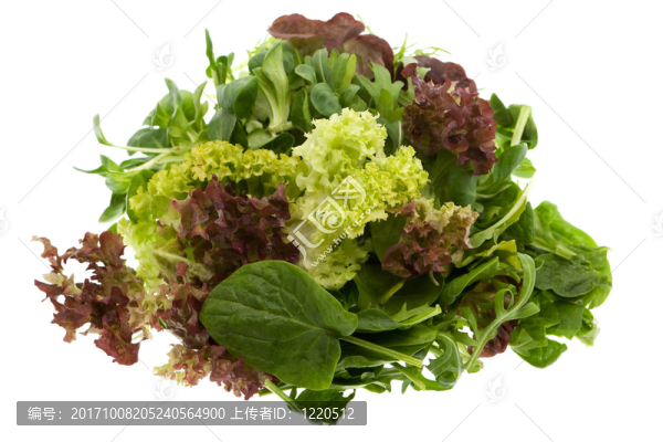 蔬菜