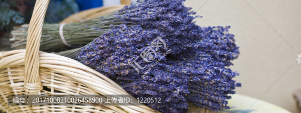 薰衣草