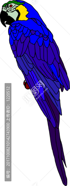 鳥