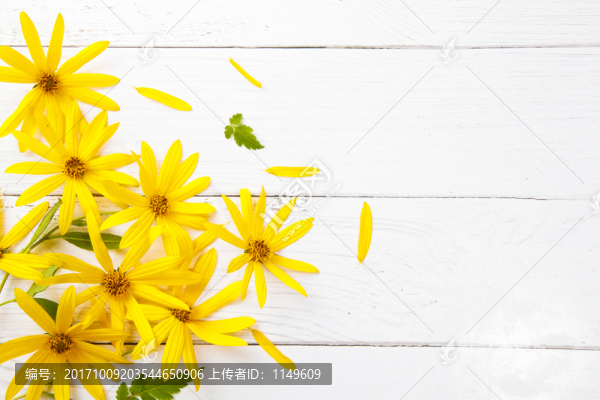 花卉背景