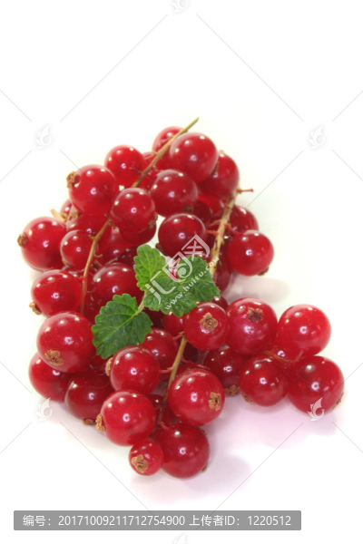 后代