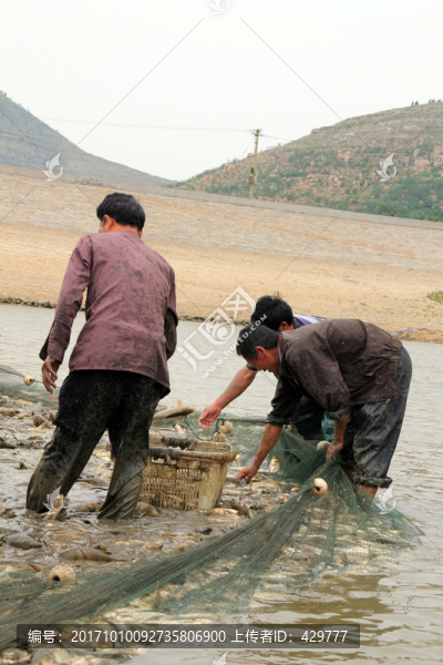 捕魚,收網(wǎng)