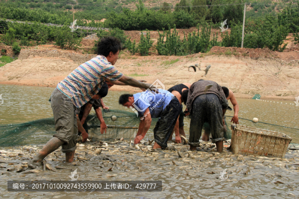 捕魚人,拉網(wǎng)捕魚