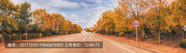 秋景