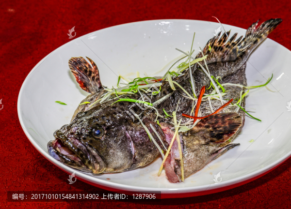 堂蒸石斑魚
