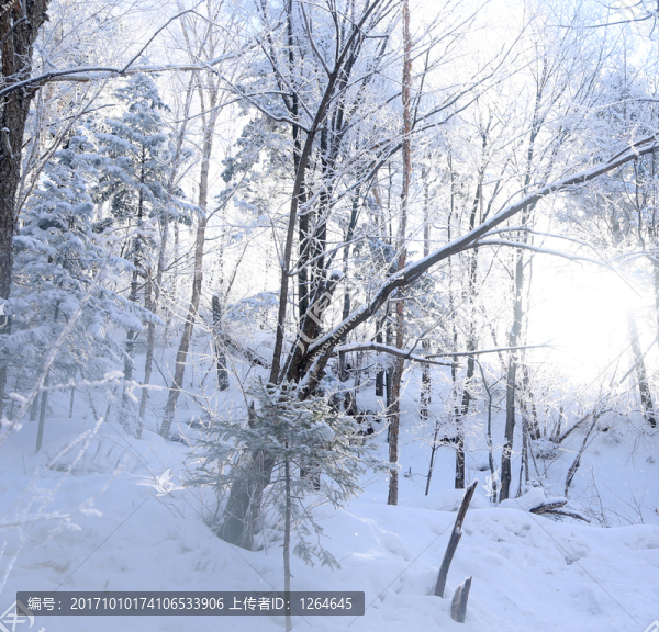 雪鄉(xiāng),雪鄉(xiāng)風(fēng)景,中國(guó)雪鄉(xiāng)