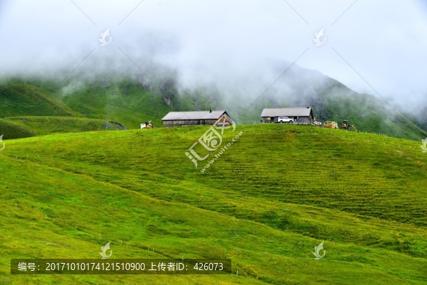 高山草原