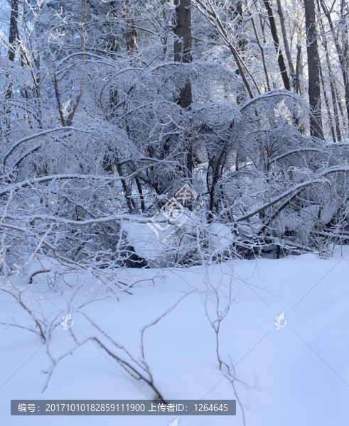 雪鄉(xiāng),雪鄉(xiāng)風(fēng)景,中國雪鄉(xiāng)