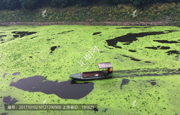 河道污染,蘋(píng)果6p手機(jī)拍攝