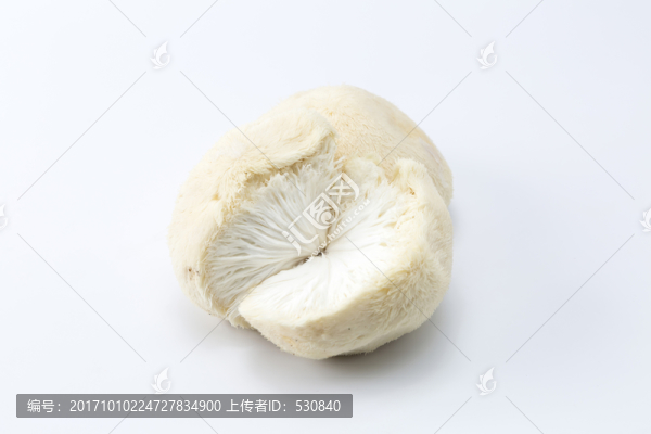 白蘑菇