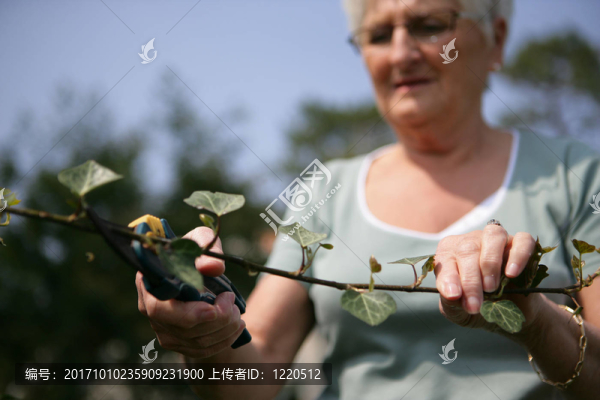 空白