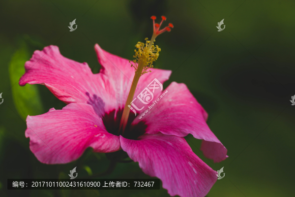 朱瑾特寫