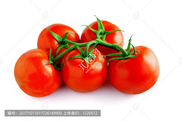 食品