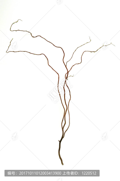裝飾