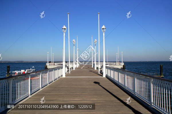 橋