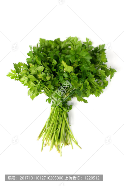 芳香蔬菜
